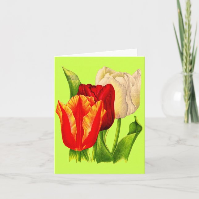 Tarjeta tulipán (Anverso)