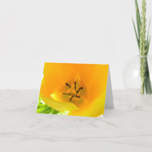 Tarjeta Tulipán amarillo