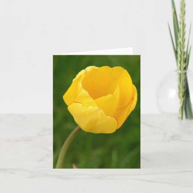 Tarjeta Tulipán amarillo de Notecard (Anverso)