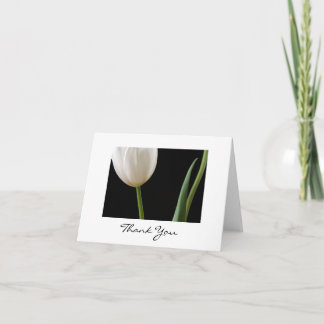 Tarjeta tulipán blanca