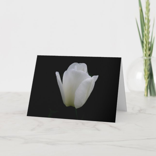 Tarjeta Tulipán Blanco (Anverso)