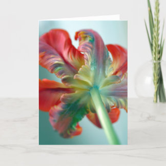 Tarjeta tulipán del loro