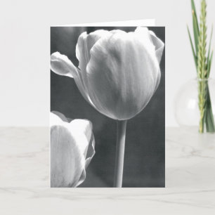Tarjeta Tulipán en blanco y negro