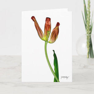 Tarjeta "Tulipán" por J. maya Luz