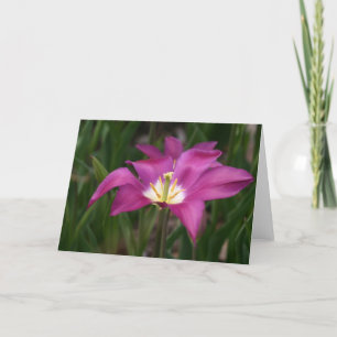 Tarjeta Tulipán púrpura
