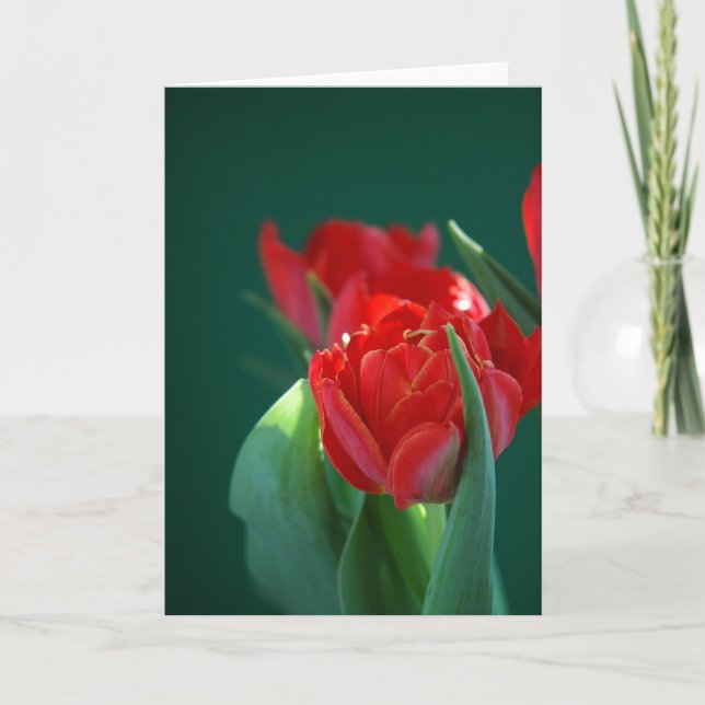 Tarjeta Tulipán rojo (Anverso)