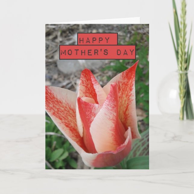 Tarjeta Tulipán rojo del Día de la Madre (Anverso)
