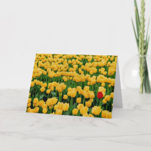 Tarjeta Tulipán rojo en un tulipán amarillo