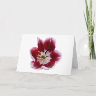 Tarjeta Tulipán rojo profundo