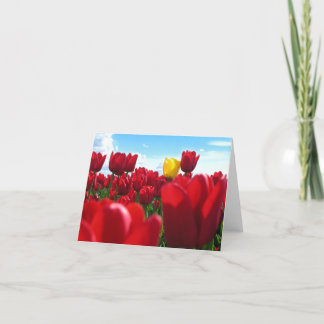 Tarjeta Tulipanes