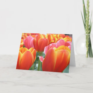 Tarjeta Tulipanes