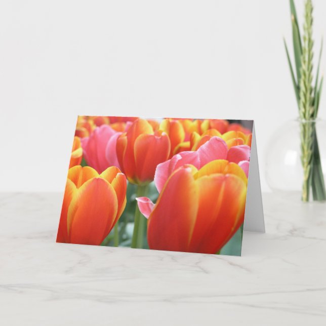 Tarjeta Tulipanes (Anverso)