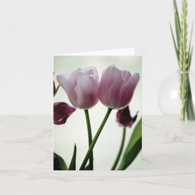 Tarjeta Tulipanes 3259 (Anverso)