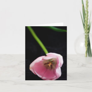 Tarjeta Tulipanes 3272