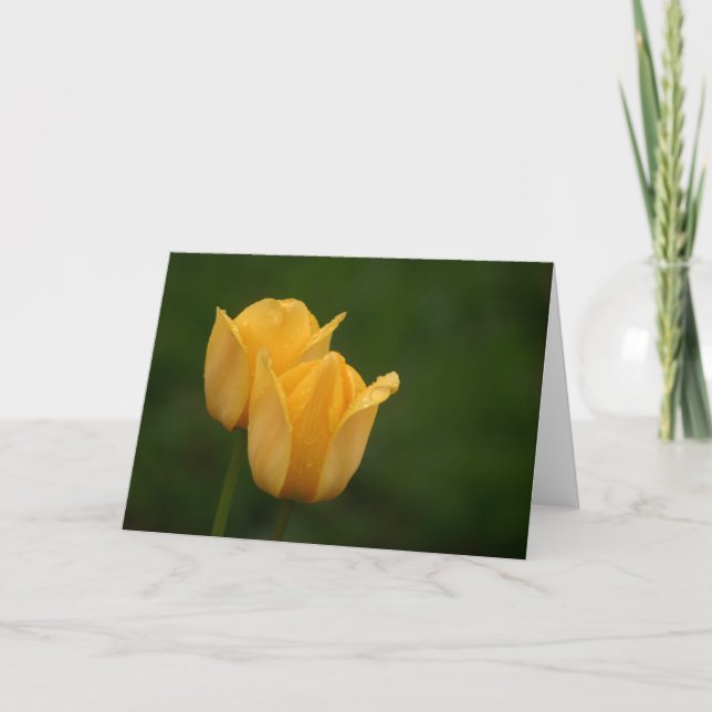 Tarjeta Tulipanes amarillos (Anverso)