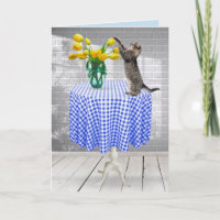 Tulipanes Amarillos De Cumpleaños Con Gato