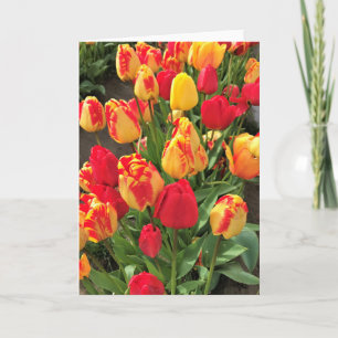 Tarjeta Tulipanes amarillos y rojos