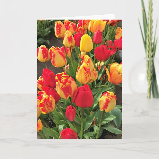 Tarjeta Tulipanes amarillos y rojos (Anverso)