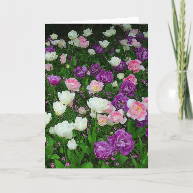 Tarjeta Tulipanes coloridos (Anverso)