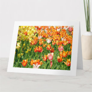 Tarjeta tulipanes coloridos y vibrantes 