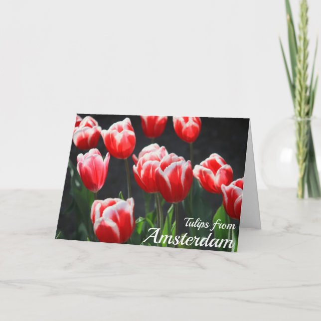 Tarjeta Tulipanes de Amsterdam (Anverso)