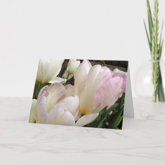 Tarjeta Tulipanes de primavera (Anverso)