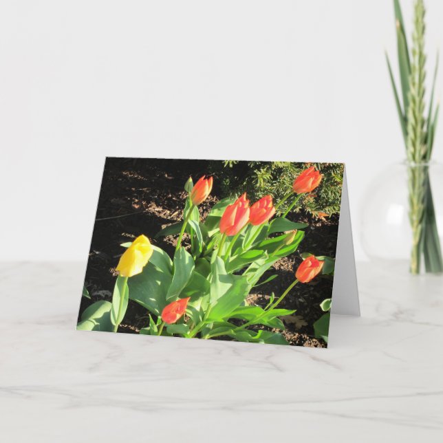 Tarjeta Tulipanes de primavera (Anverso)