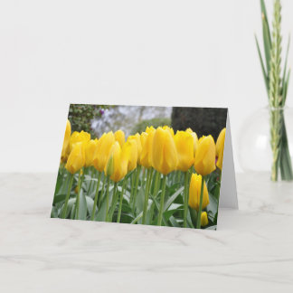 Tarjeta Tulipanes de primavera amarilla