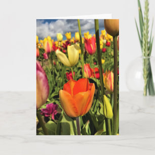 Tarjeta Tulipanes de primavera coloridos