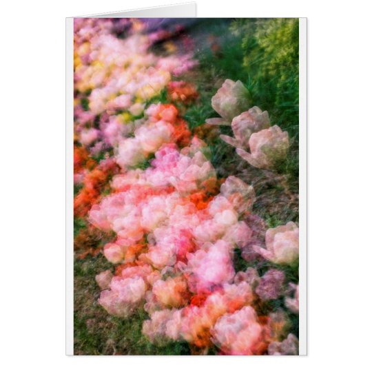 Tarjeta Tulipanes del Peony en la plena floración