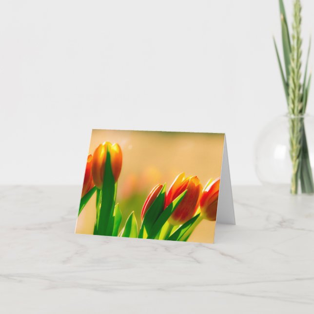 Tarjeta Tulipanes en el sol (Anverso)