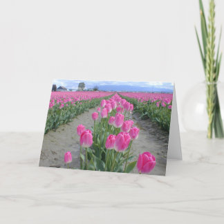 Tarjeta Tulipanes felices del rosa de la primavera
