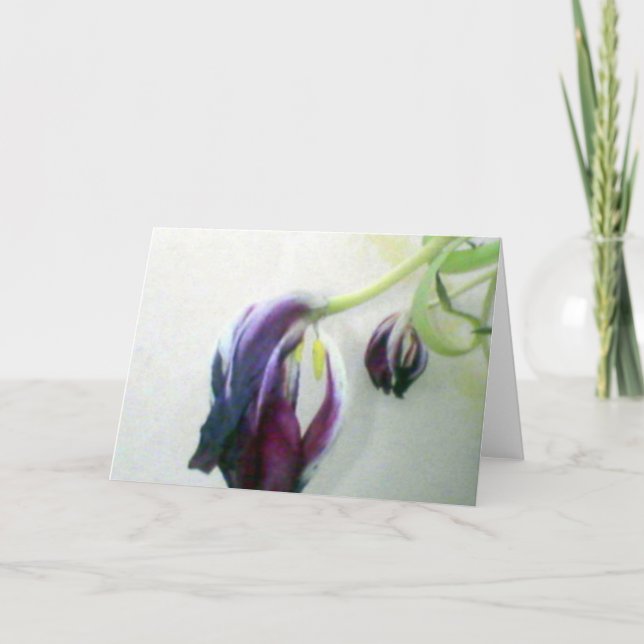 Tarjeta Tulipanes muertos (Anverso)