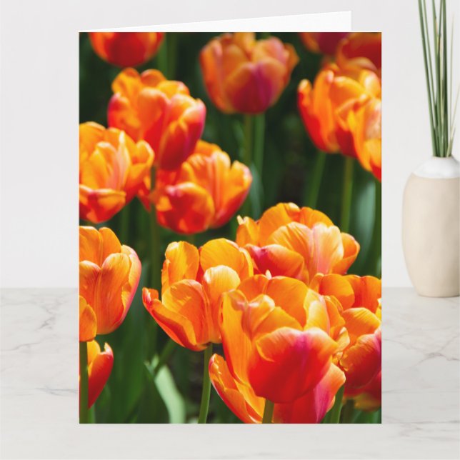 Tarjeta Tulipanes naranja brillante en el parque (Anverso)