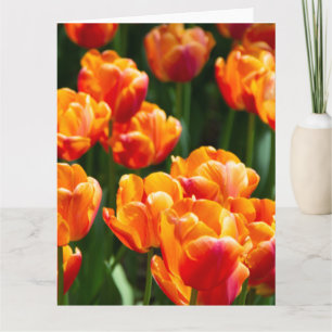 Tarjeta Tulipanes naranja brillante en el parque  