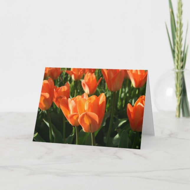 Tarjeta Tulipanes NoteCard (Anverso)