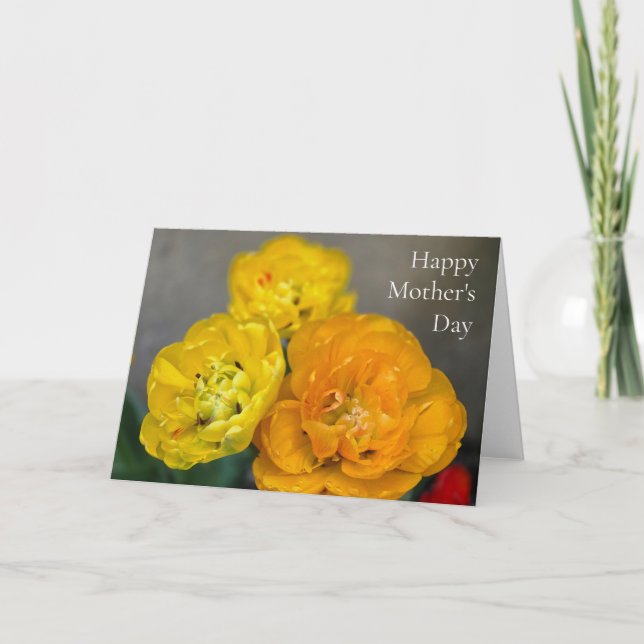 Tarjeta Tulipanes para el Día de la Madre (Anverso)