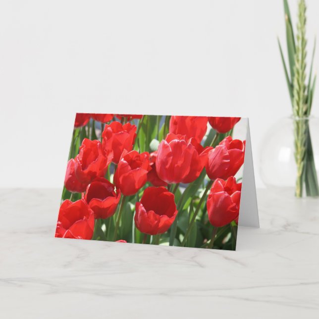 Tarjeta Tulipanes rojos (Anverso)
