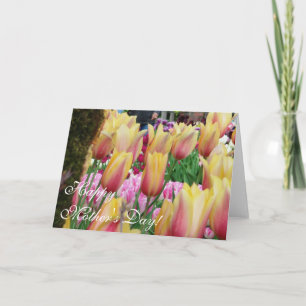 Tarjeta Tulipanes - rosa y amarillo - Feliz Día de la Madr
