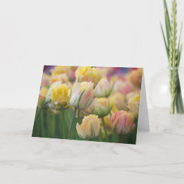 Tarjeta Tulipanes rosados y amarillos