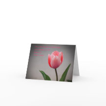 Tulipanes y escrituras