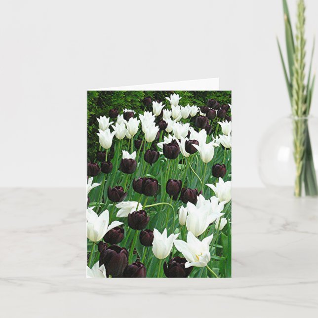 Tarjeta Tulipano negro y blanco (Anverso)