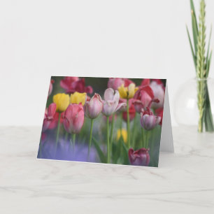 Tarjeta Tulipanos