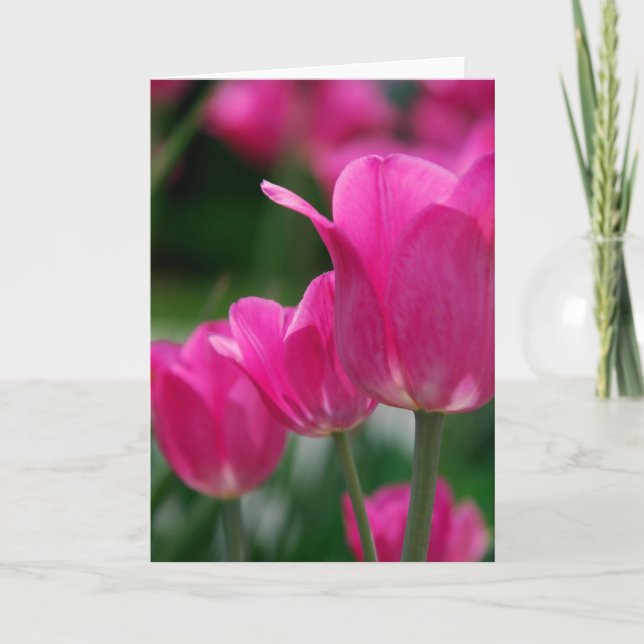 Tarjeta Tulips (Anverso)