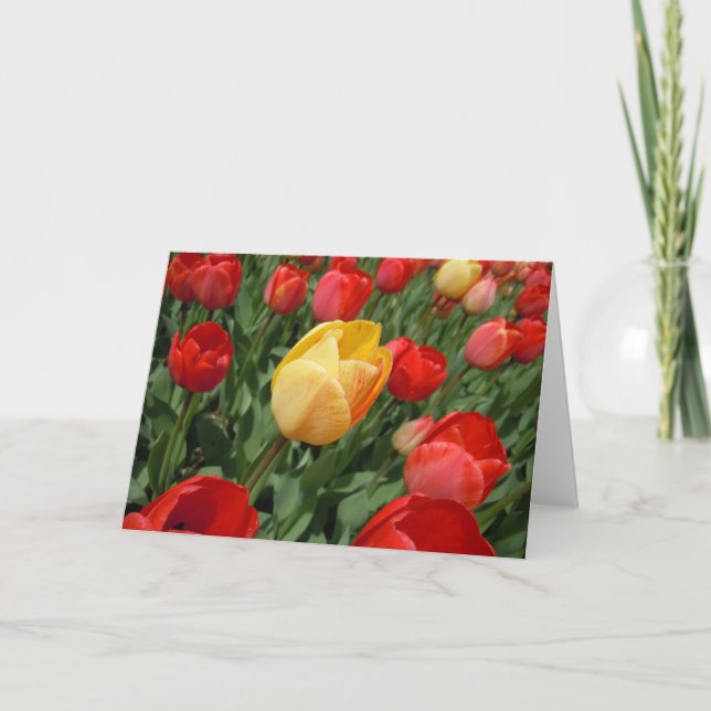 TARJETA TULIPS (Anverso)