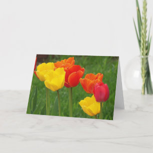 Tarjeta Tulips Brights