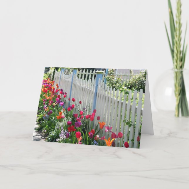 Tarjeta Tulips Garden Along White Picket Fence (Anverso)