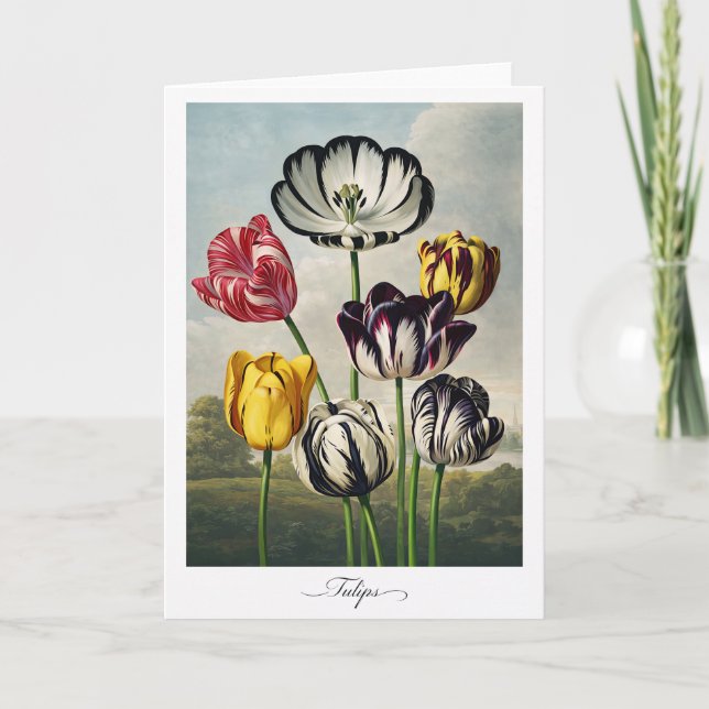 Tarjeta Tulips — Modern Botanical Reinterpretation (Anverso)
