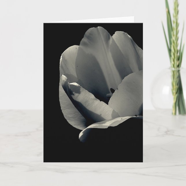 Tarjeta Tulp en blanco y negro (Anverso)
