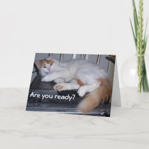 TARJETA TURKISH VAN ESTÁ LISTO PARA CELEBRAR TU CUMPLEAÑOS
